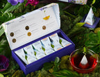 Petite Presentation Box Demoiselle