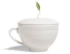 Demoiselle Explorers Tea Set